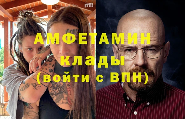 дмт Богданович